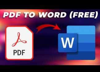 Convert PDF to Word Document