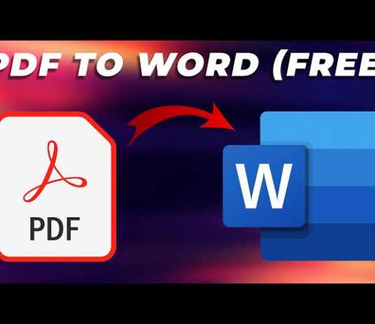 Convert PDF to Word Document