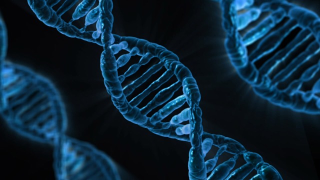Gene Editing and Hearing Disorders