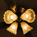 ceiling fans