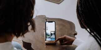 Art of the Zoo Tik Tok Trend