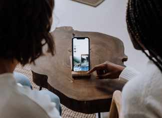 Art of the Zoo Tik Tok Trend and Why It Went Viral Art of the Zoo Tik Tok Trend