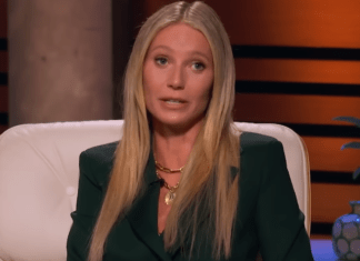 Gwyneth Paltrow Net Worth 2023, Career, Achievements, and More