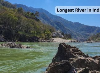 Longest River in India