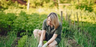 how can you get rid of crabgrass