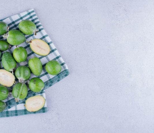 can you freeze avocados