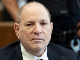 harvey weinstein net worth
