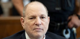 harvey weinstein net worth