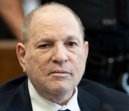 harvey weinstein net worth