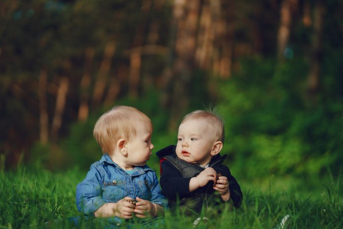do identical twins have the same dna