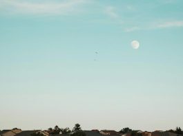 Moon During the Day