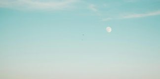 Moon During the Day