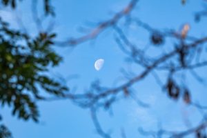 why can we see the moon during the day