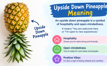 upside down pineapple meaning