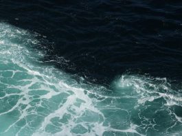 why don't the atlantic and pacific oceans mix