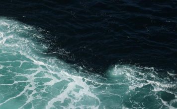Why Don’t the Atlantic and Pacific Oceans Mix? The Truth Will Surprise You why don't the atlantic and pacific oceans mix
